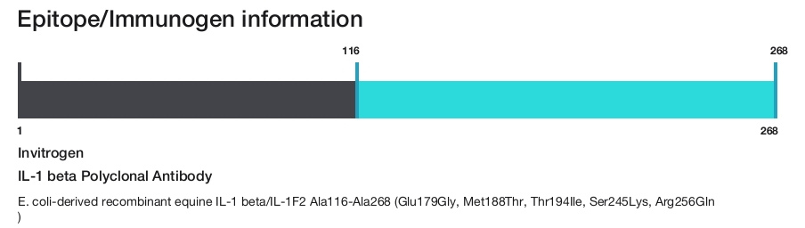 IL-1 beta Polyclonal Antibody