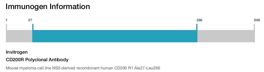 CD200R Polyclonal Antibody