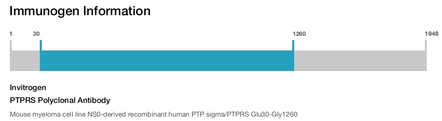PTPRS Polyclonal Antibody