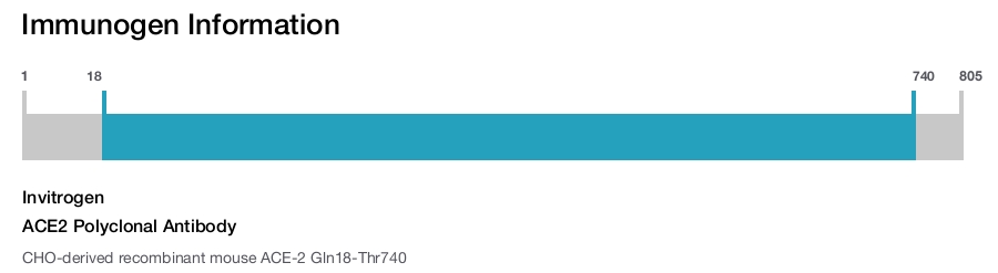 ACE2 Polyclonal Antibody