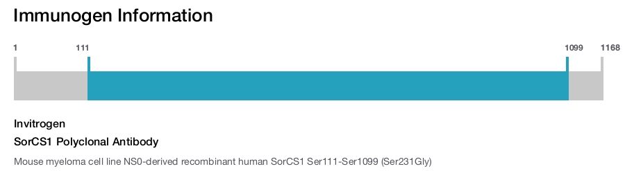 SorCS1 Polyclonal Antibody