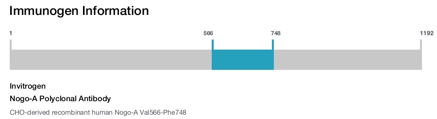 Nogo-A Polyclonal Antibody