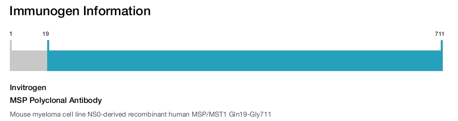 MSP Polyclonal Antibody