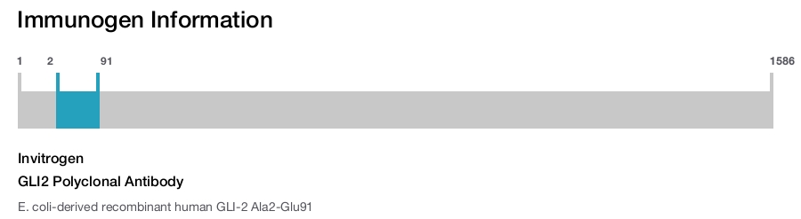GLI2 Polyclonal Antibody