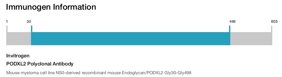 PODXL2 Polyclonal Antibody
