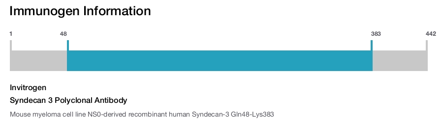 Syndecan 3 Polyclonal Antibody