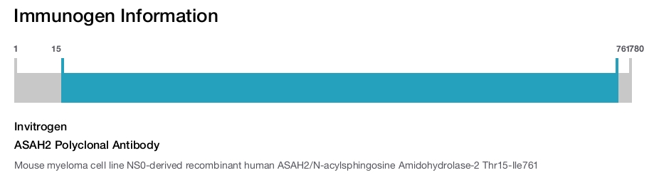 ASAH2 Polyclonal Antibody