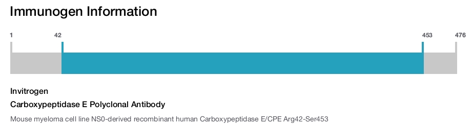 Carboxypeptidase E Polyclonal Antibody