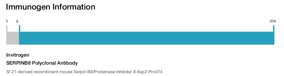 SERPINB8 Polyclonal Antibody