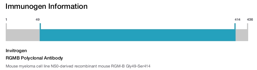 RGMB Polyclonal Antibody