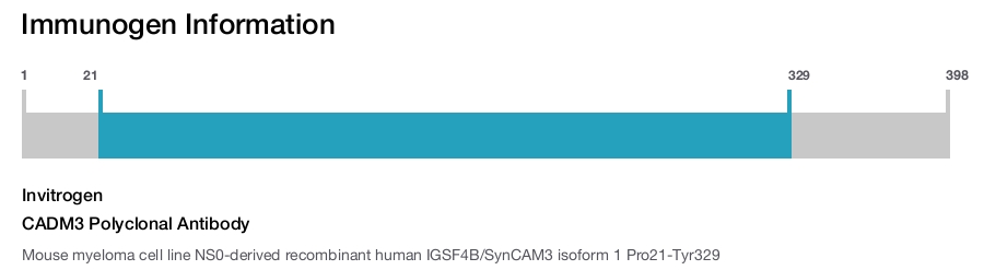 CADM3 Polyclonal Antibody