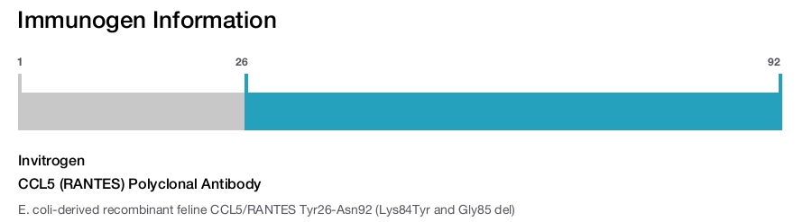 CCL5 (RANTES) Polyclonal Antibody