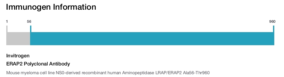 ERAP2 Polyclonal Antibody