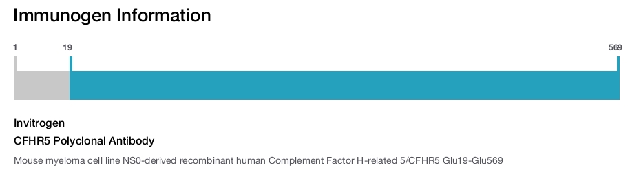 CFHR5 Polyclonal Antibody