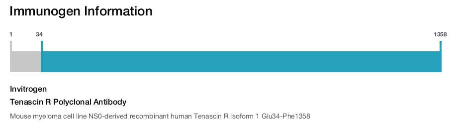 Tenascin R Polyclonal Antibody