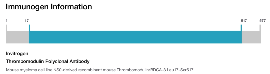 Thrombomodulin Polyclonal Antibody