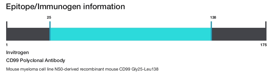 CD99 Polyclonal Antibody