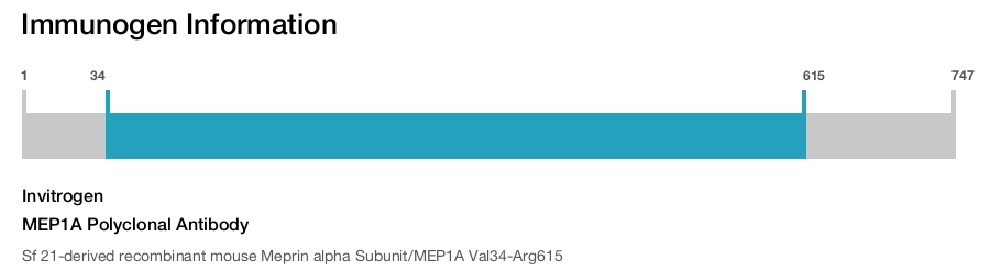 MEP1A Polyclonal Antibody