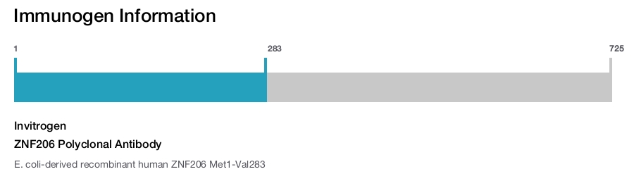ZNF206 Polyclonal Antibody