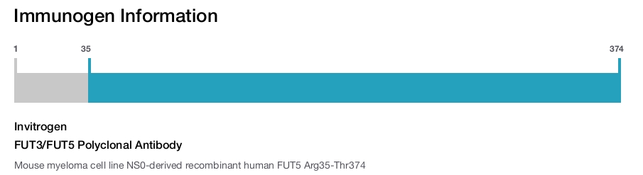 FUT3/FUT5 Polyclonal Antibody