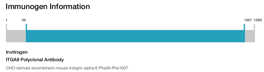 ITGA8 Polyclonal Antibody