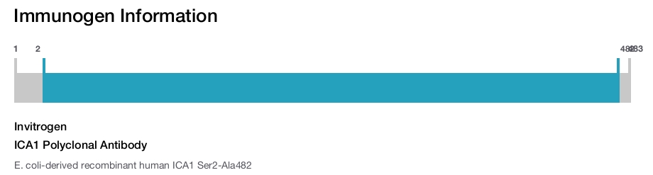 ICA1 Polyclonal Antibody
