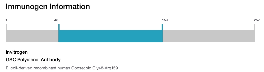 GSC Polyclonal Antibody