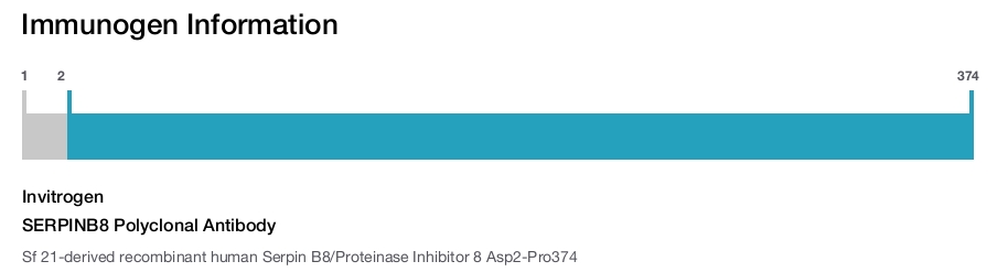 SERPINB8 Polyclonal Antibody
