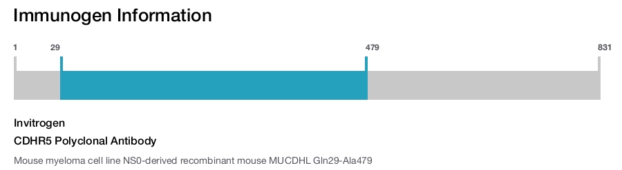 CDHR5 Polyclonal Antibody