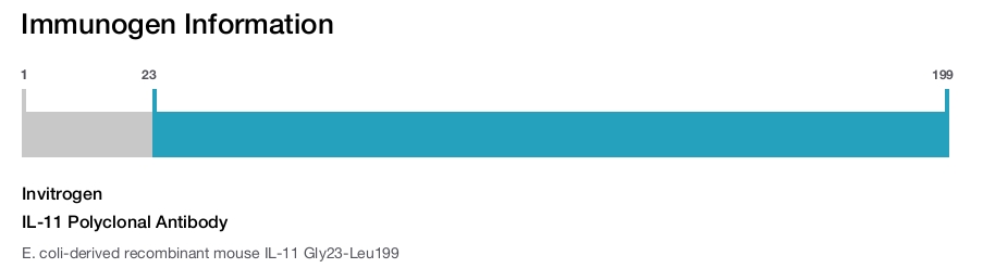 IL-11 Polyclonal Antibody