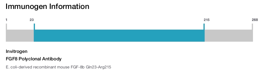 FGF8 Polyclonal Antibody