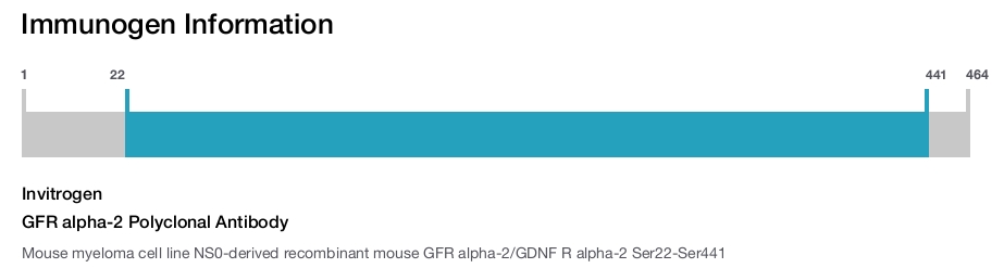 GFR alpha-2 Polyclonal Antibody