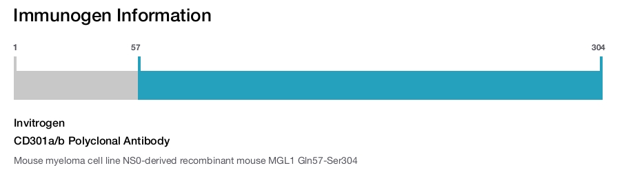 CD301a/b Polyclonal Antibody