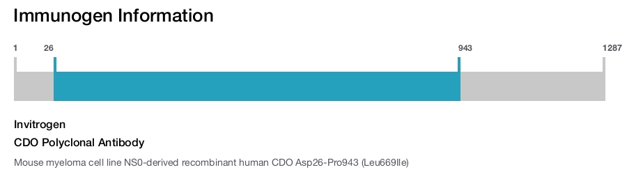CDO Polyclonal Antibody