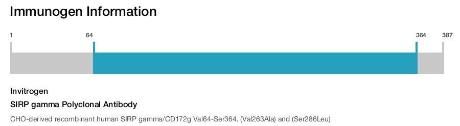 SIRP gamma Polyclonal Antibody