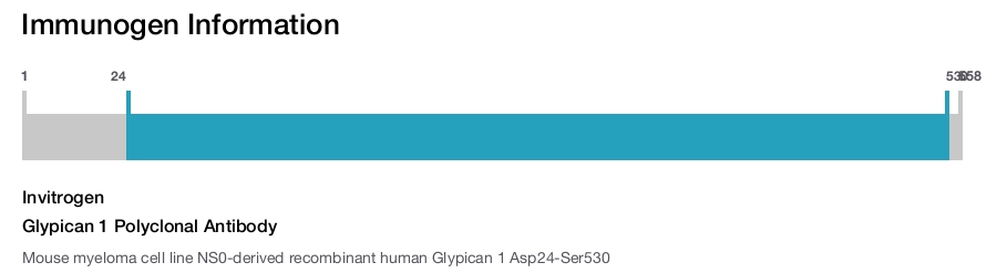 Glypican 1 Polyclonal Antibody