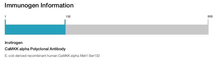 CaMKK alpha Polyclonal Antibody