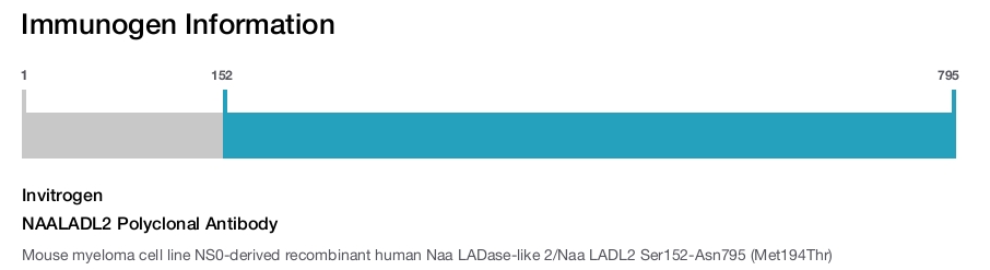 NAALADL2 Polyclonal Antibody