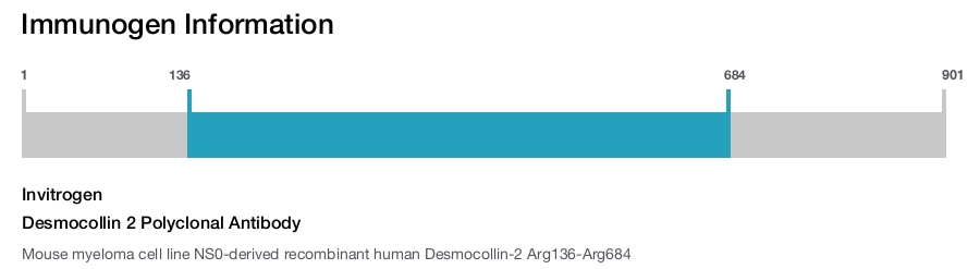 Desmocollin 2 Polyclonal Antibody