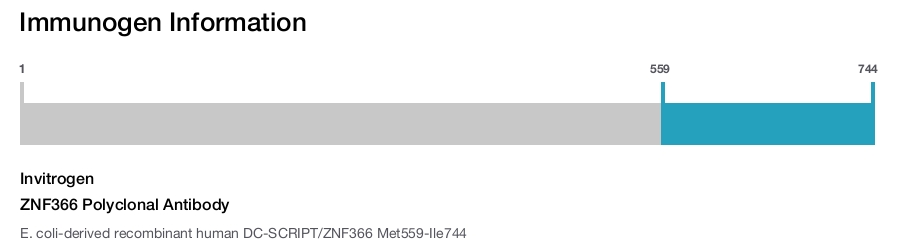ZNF366 Polyclonal Antibody