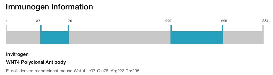 WNT4 Polyclonal Antibody