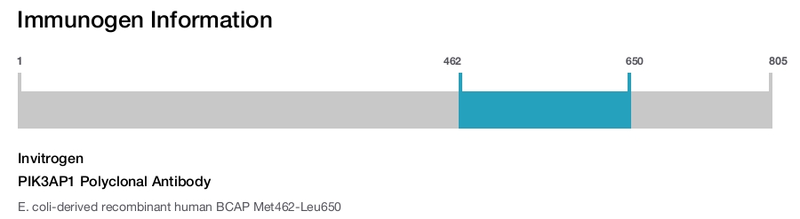 PIK3AP1 Polyclonal Antibody