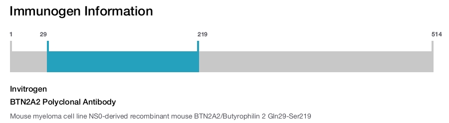 BTN2A2 Polyclonal Antibody