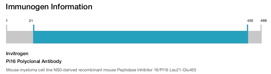 Pi16 Polyclonal Antibody