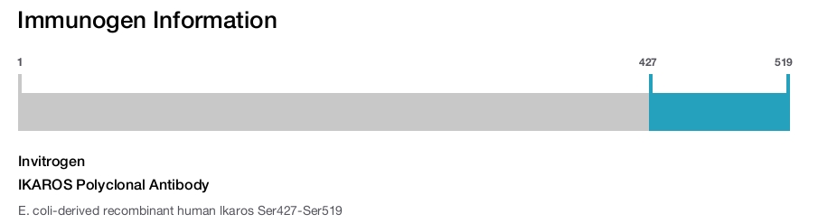 IKAROS Polyclonal Antibody