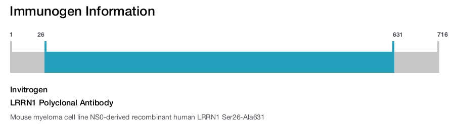 LRRN1 Polyclonal Antibody