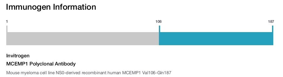 MCEMP1 Polyclonal Antibody