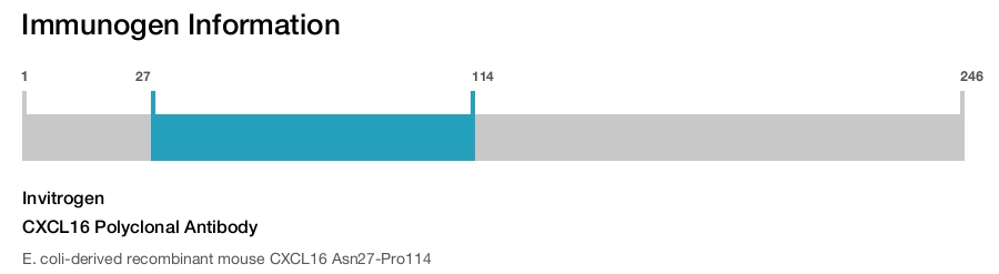 CXCL16 Polyclonal Antibody