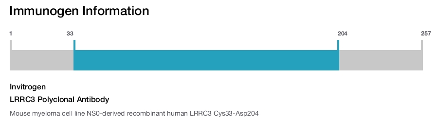 LRRC3 Polyclonal Antibody