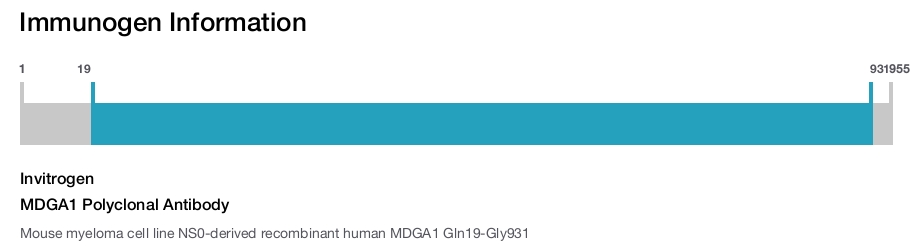 MDGA1 Polyclonal Antibody